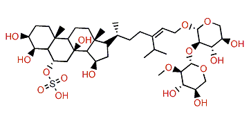 Acodontasteroside C
